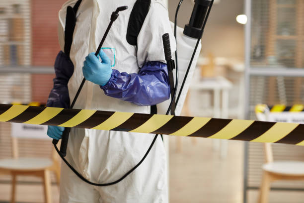 Professional Sewage Cleanup technician working in Paicines, CA